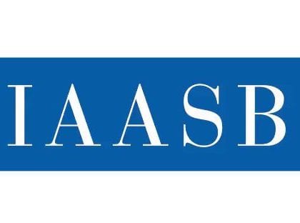 Influential Leader Sought for IAASB Chair