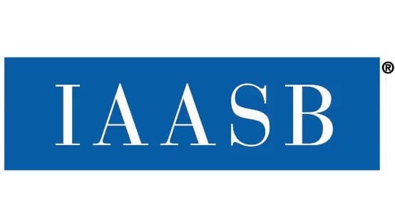 Influential Leader Sought for IAASB Chair