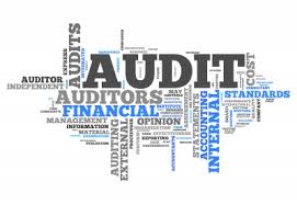 GUIDELINES ON AUDITOR ROTATION RULES